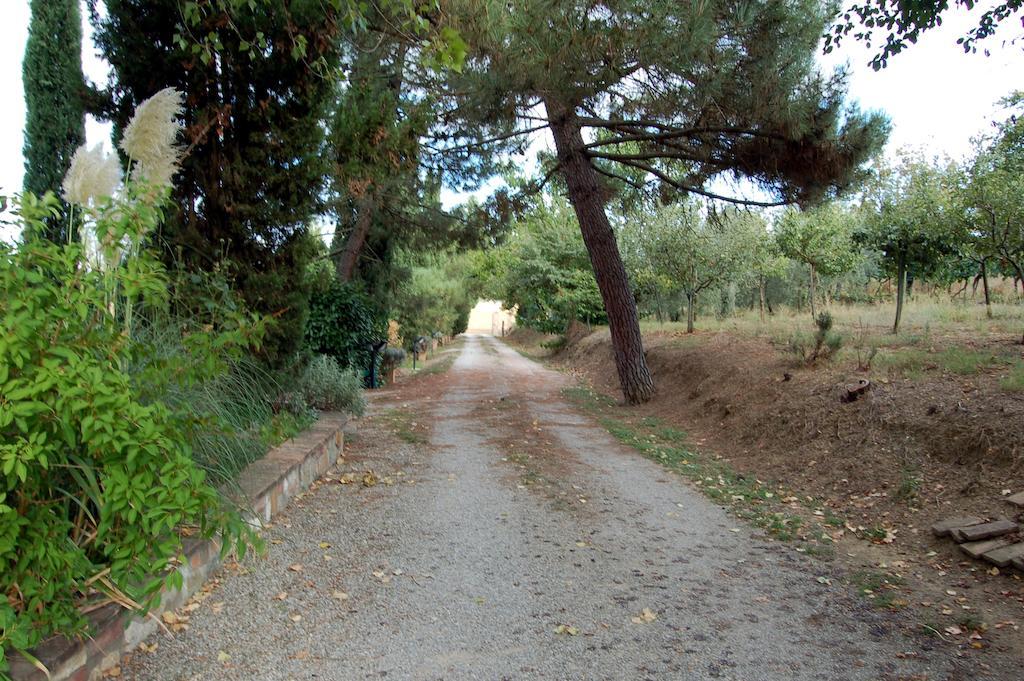 Casa Burraia Villa Abbadia di Montepulciano Habitación foto