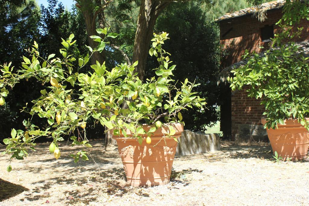 Casa Burraia Villa Abbadia di Montepulciano Exterior foto