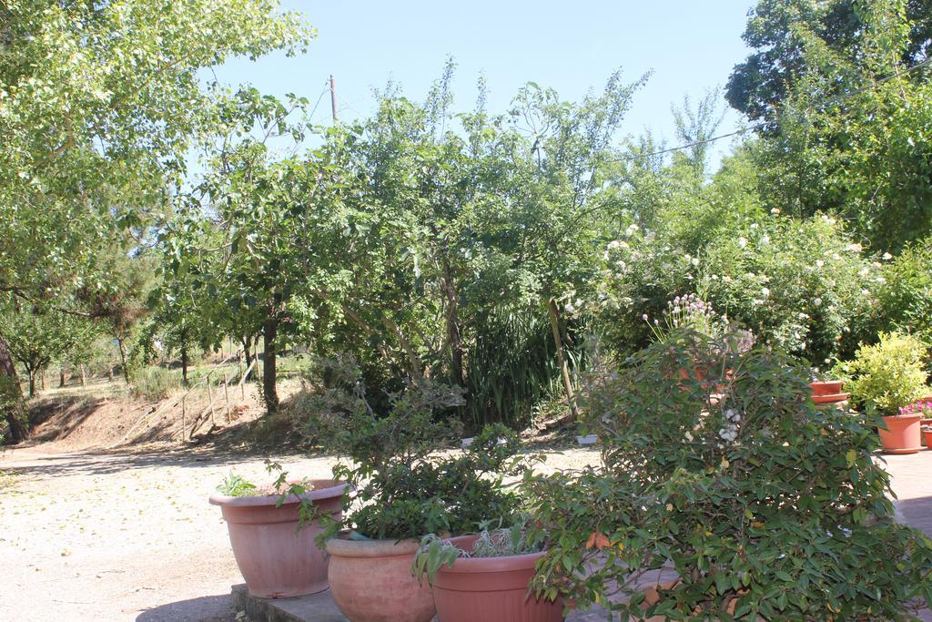 Casa Burraia Villa Abbadia di Montepulciano Exterior foto